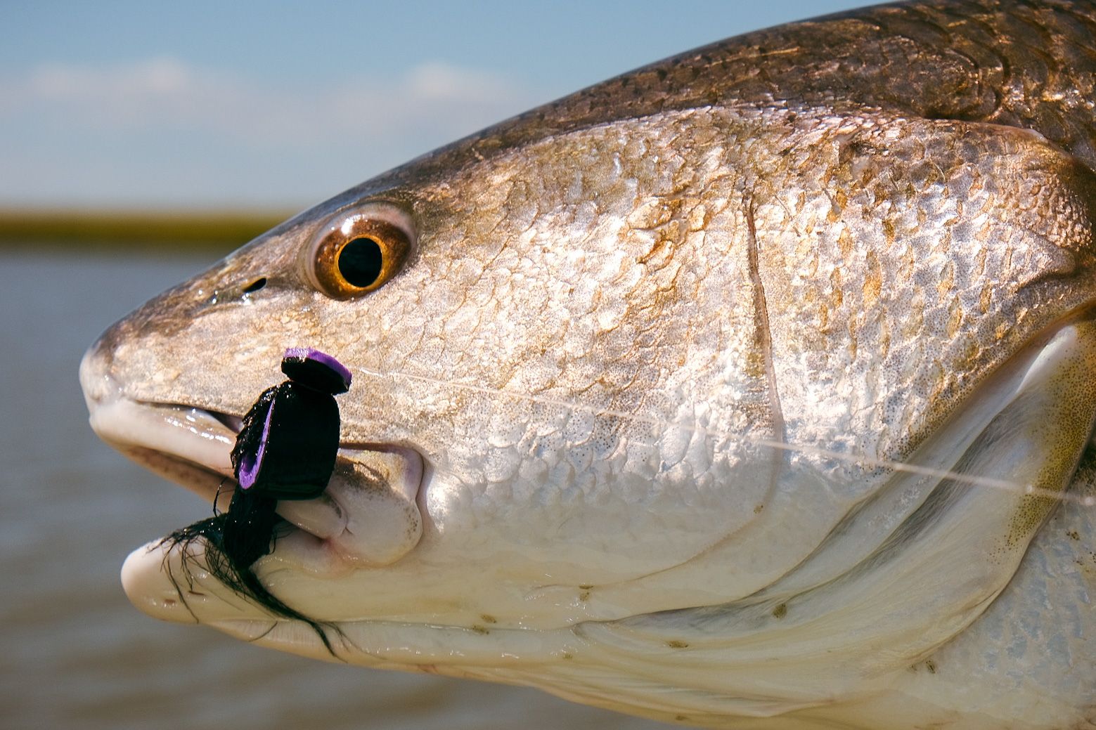 Fall Fishing Is Here! 